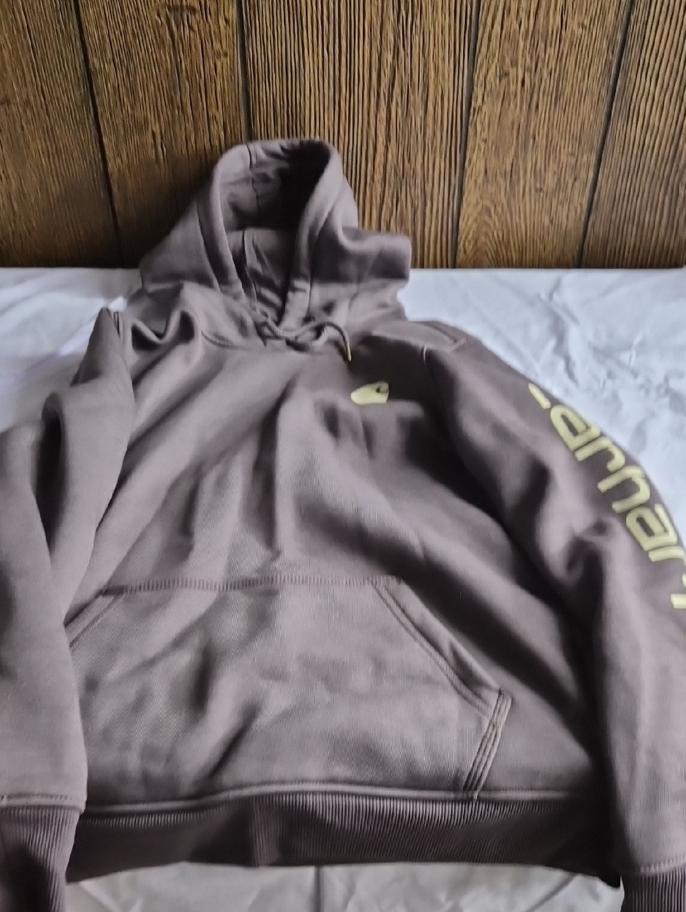Carhartt Hooded Sweatshirt in Purple